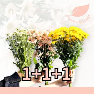 [소국 1+1+1] 정아네식탁 이벤트! 서비스꽃까지 더~!!