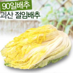 [예약배송] 괴산 절임배추20kg (7∼9포기내외)