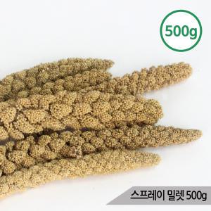 스프레이 밀렛 500g 알곡 앵무새 햄스터 소동물간식