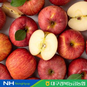 [대구경북능금농협] 청송 부사사과 정품 3kg 12-15과