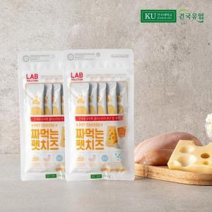 건국유업 짜먹는 펫간식 치즈 12g X 10입