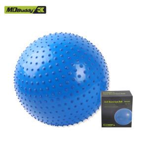 MD Buddy 마사지짐볼 65cm 블루 MD-1226