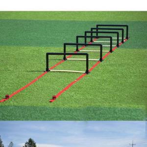 스타 허들 사다리 조절형 축구 풋살 스텝 훈련 기구 허들 훈련사다리 운동기구 높이뛰기 체력장용품