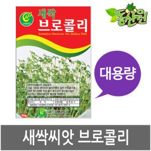 대용량 새싹브로콜리씨앗 500g 1kg 새싹씨앗 브로컬리싹