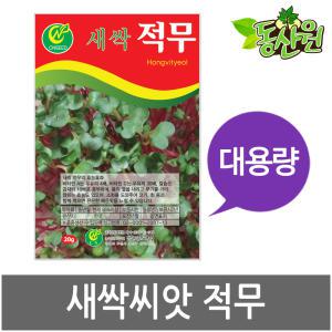 대용량 새싹적무씨앗 500g 1kg 새싹씨앗 적무싹 종자