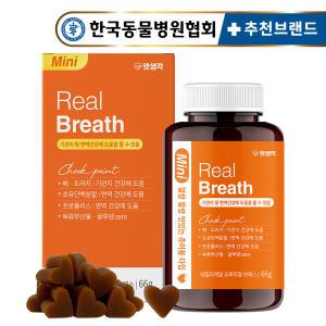 펫생각 강아지 기관지 협착증 영양제 66g 31정 기침 면역력 호흡기 켁켁거림 거위소리 혈행 개선 항산화 휴먼그레이드