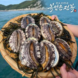 완도 활 전복 9-10미 1KG 선물세트 횟감용 보길도 살아서도착