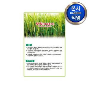 보리 씨앗 (재래종) 1kg . 야채 채소 텃밭 파종 재배 주말 농장 씨 종자