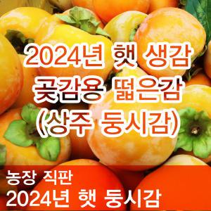 2024년 햇 상주 둥시감 곶감용감 대봉감 홍시 15kg-[농장직판]