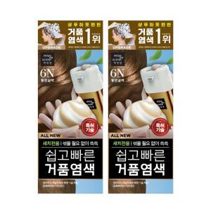 미쟝센 올뉴 쉽고빠른거품 염색약 6N밝은갈색, 80g, 2개