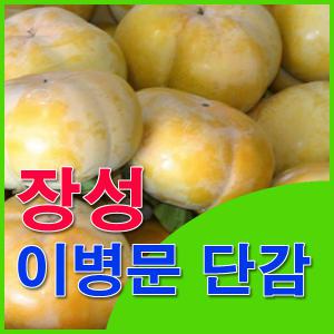 장성단감 한물농장 이병문단감 - 전라도특산 차량 지로 10kg 대용량 한박스