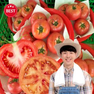 산지발송 찰토마토 2kg 중과 맛있는 완숙 토마토 샌드위치용 쥬스용 tomato 강원도 전라남도