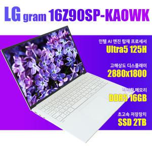 그램프로/16Z90SP-KAOWK/울트라5/NVMe SSD 2TB(교체)