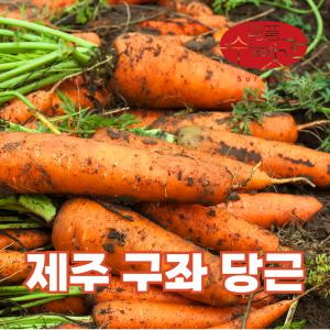 명품수랏간 화산토 제주 구좌 햇당근 흙당근 (특) 3KG