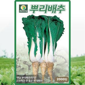 다농 뿌리배추 씨앗 2000립 토종 뿌리배추씨 종자