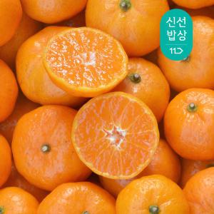 [산지발송] 제주 고당도 11Brix이상 노지 감귤 4.5kg (중대/로얄/소과/프리미엄)