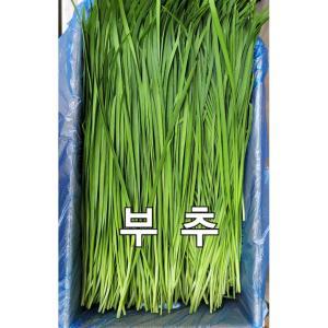 부추 2kg 야채맘