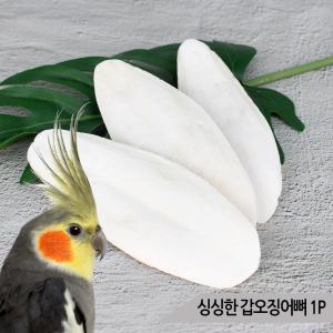 싱싱한 갑오징어뼈 1P 새간식 새영양제 칼슘 골격강화