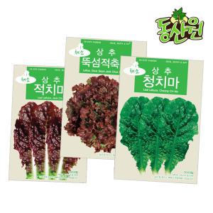 봄 가을 상추씨앗 3000립 적치마 청치마 뚝섬 상추종자 쌈채소씨앗