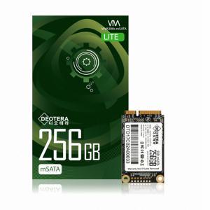 디오테라 VIVA 300S LITE mSATA 256GB SSD 3D낸드 TLC/영샵