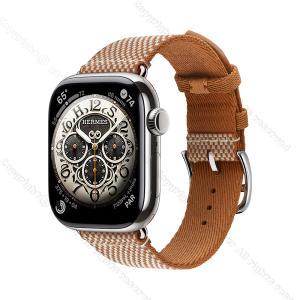 Apple Watch Hermes 10 GPS + Cellular 42mm 실버 티타늄 케이스 그리고 (골드/에크류) Toile H 싱글 투어