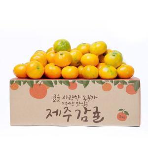 [감동]제주 햇 감귤 소과 4.5kg