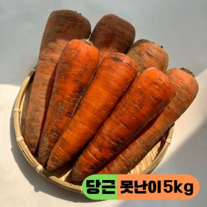 [만근농장] 24년 수확한 국내산 햇 당근 흙당근 주스용 쥬스용 5kg  (못난이)