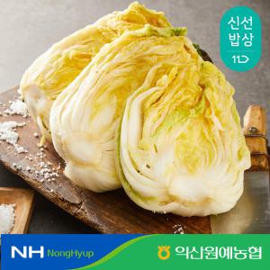 [익산원예농협] HACCP인증 해남 땅끝 절임배추 20kg 6-9포기 / 국산 천일염 사용