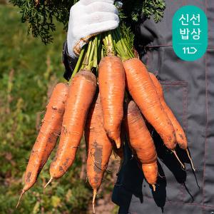 [품질보장] 국내산 햇 당근 10kg 못난이 주스용 외