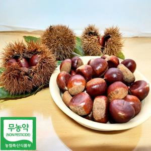 산골농원 알밤 대1kg (칼집없음)공주 부여 알밤 햇밤 생율 깐밤 군밤용밤 군밤용밤 칼집군밤 생율