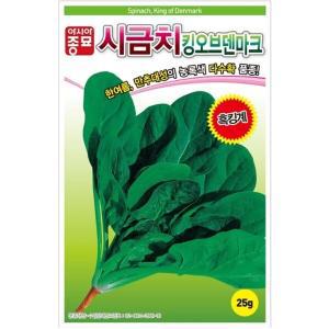 아시아종묘/시금치종자씨앗 킹오브덴마크 시금치-흑킹 (500g-약5000립)