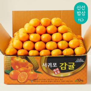 [산지발송] 제주 고당도 타이벡 감귤 4.5kg (중대/로얄/소과/프리 12Brix이상)