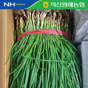 [농협] 국내산 신선 흙쪽파 4kg/1단