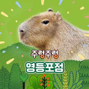 [서울]주렁주렁 실내 동물원 영등포점