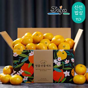 [품질보장]제주 조생 햇감귤 4.5kg 9kg 외 선택 / 당도좋은 / 제주현지발송 / 실중량 / 사이즈선별