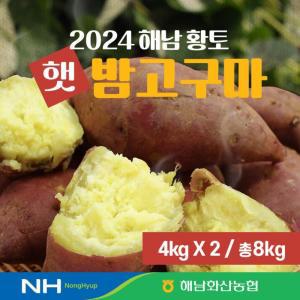 24년 화산농협 해남 황토 햇 밤고구마 8kg4kg+4kg[34656916]