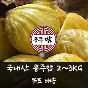 부여 공주밤 (칼집 포르단 특대) 2kg ~ 3kg