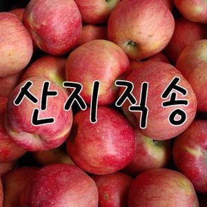 사과 10kg 쥬스용 대용량 알뜰사과