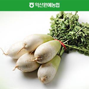 [한아름드린][농협] 신선 김장 다발무 5kg(특)