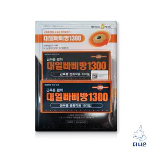 대일 빠삐방 1300 자기발생기 파스 10개입 X 5케이스