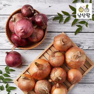 오래가고 단단한 만생종 양파 5kg/10kg 남산팜 (왕특+특/대+중)