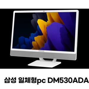 올인원 삼성 일체형PC DM530ADA 펜티엄 골드11세대 WIN10 24인치 모니터