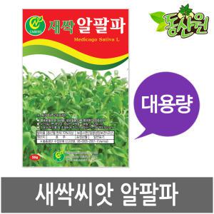 대용량 새싹알팔파씨앗 500g 1kg 새싹씨앗 알파파싹 종자