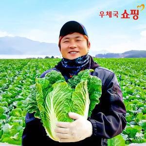 [농할가 12,790원] 땅끝사랑 해남 절임배추 10kg (11/14일부터 배송일 선택가능)