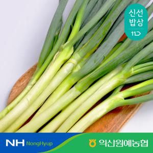 [농할가 9,050원] 익산원예농협 국산 대파 흙대파 2kg 4kg 특품