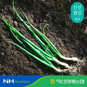 [농할가 12,470원] 익산원예농협 국산 쪽파 흙쪽파 2kg 4kg 특품