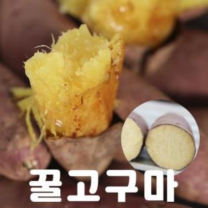 [해남미소] 해남달콤이농장 꿀밤고구마 3kg(특상, 중상)