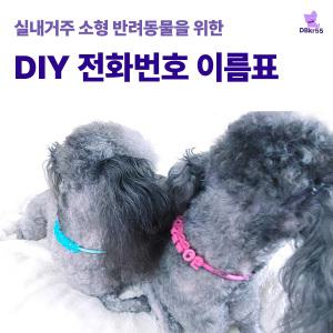 24시간 착용하는  DIY 전화번호이름표 반려동물 강아지 고양이 등록해도 외출 시 꼭 착용하는 태그 네임택 인식표 목걸이