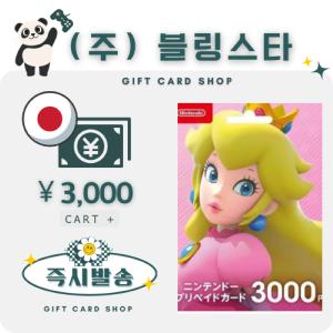 일본 닌텐도 기프트카드 선불카드 3000엔 스위치 ESHOP 이샵 e샵