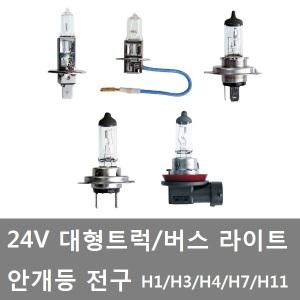 대성부품/24V 라이트큐/안개등 전구/H11/H1/H3/H7/H1/화물차/대형트럭/라이트 전구/덤프/카고/쌍라이트